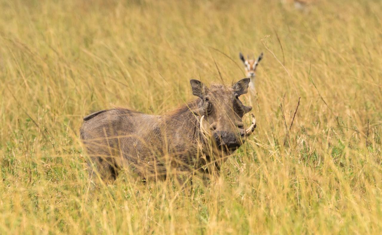 Ngorongoro Lodge Member Of Melia Collection - The Leading Hotels Of The World Exteriér fotografie