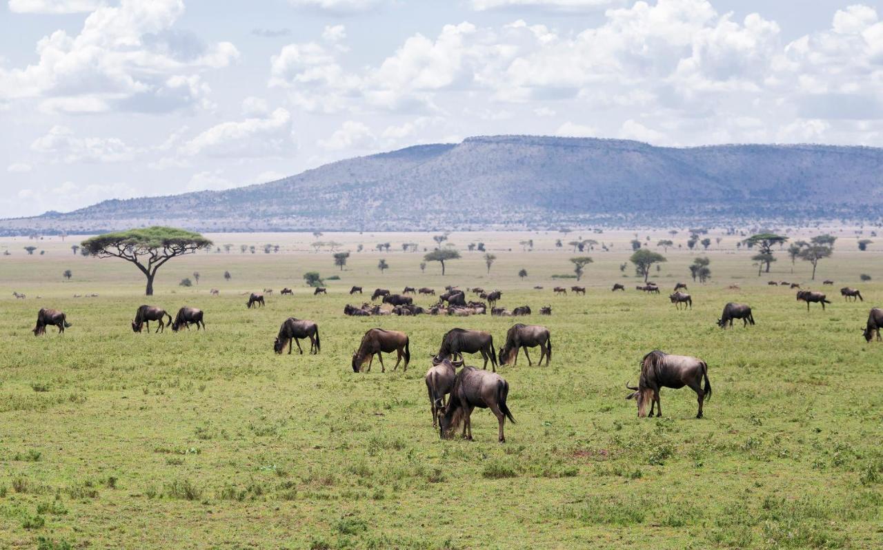 Ngorongoro Lodge Member Of Melia Collection - The Leading Hotels Of The World Exteriér fotografie