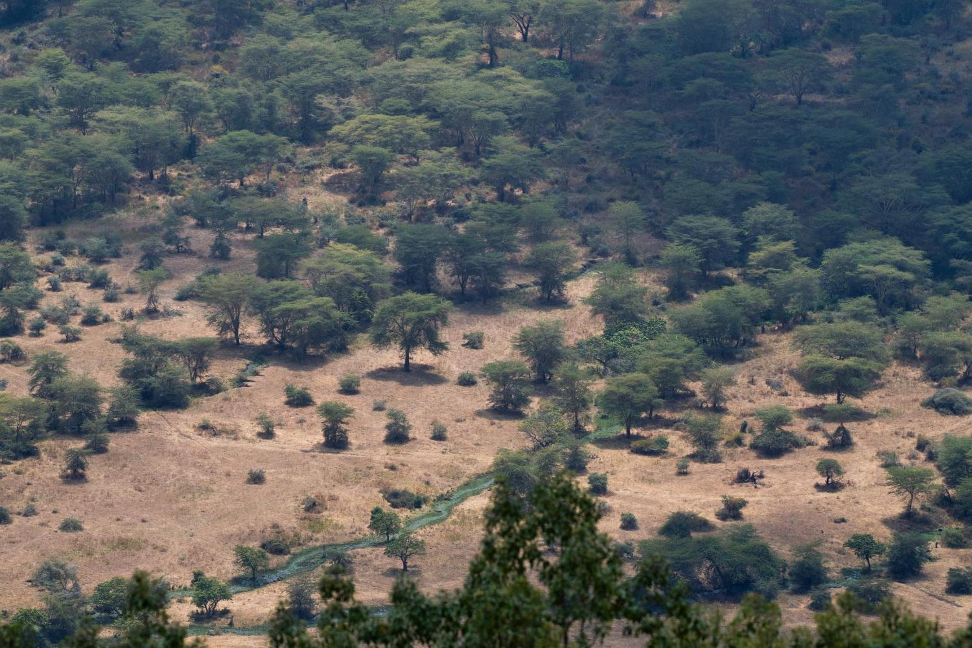 Ngorongoro Lodge Member Of Melia Collection - The Leading Hotels Of The World Exteriér fotografie