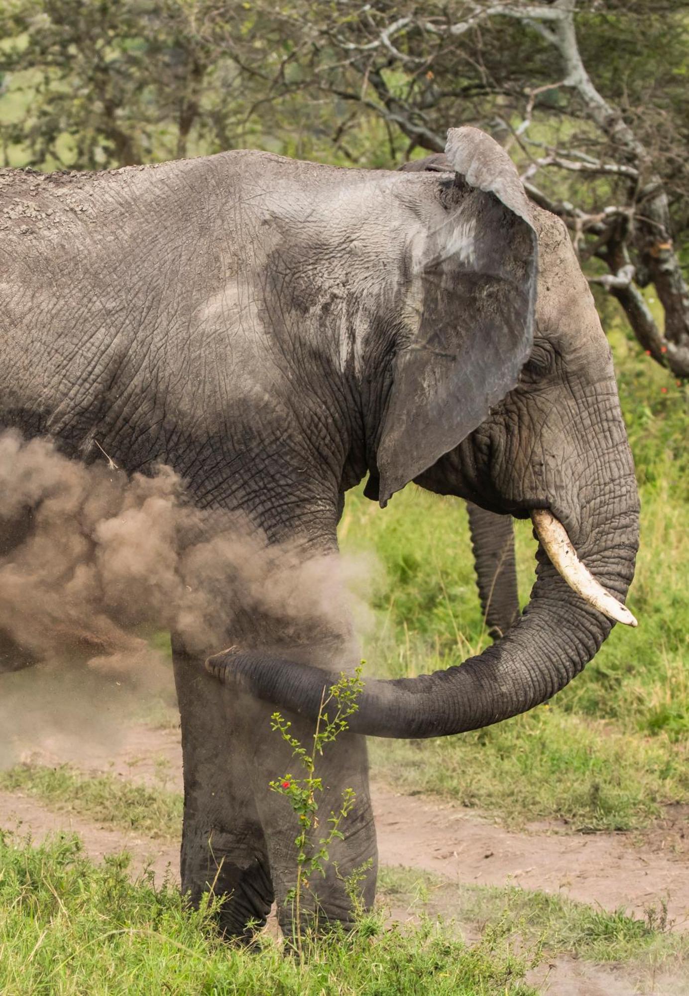 Ngorongoro Lodge Member Of Melia Collection - The Leading Hotels Of The World Exteriér fotografie
